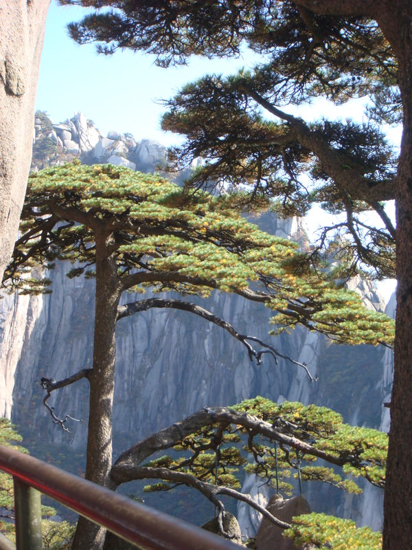 2012.10 黃山、宏村古民居、千島湖5日遊 - 第49張圖 DSC01776-迎客松.JPG - 2012.10 黃山、宏村古民居、千島湖5日遊