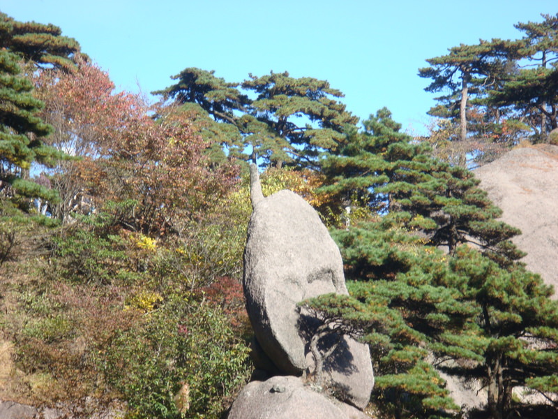 2012.10 黃山、宏村古民居、千島湖5日遊 - 第56張圖 DSC01806--海豚石(一禪指).JPG - 2012.10 黃山、宏村古民居、千島湖5日遊
