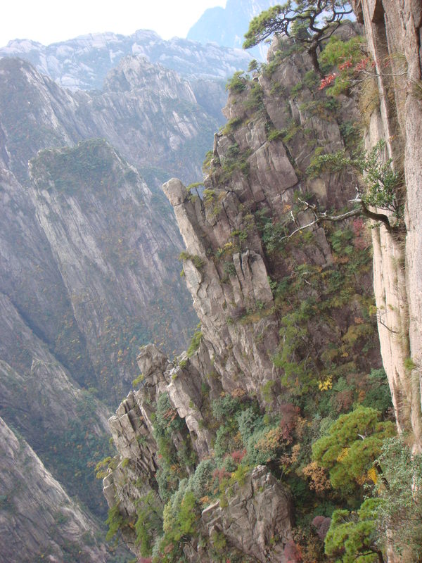 2012.10 黃山、宏村古民居、千島湖5日遊 - 第112張圖 DSC02065.JPG - 2012.10 黃山、宏村古民居、千島湖5日遊