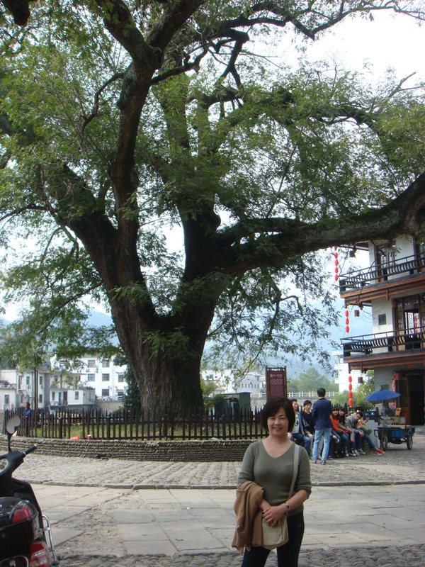 2012.10 黃山、宏村古民居、千島湖5日遊 - 第168張圖 DSC02495.JPG - 2012.10 黃山、宏村古民居、千島湖5日遊
