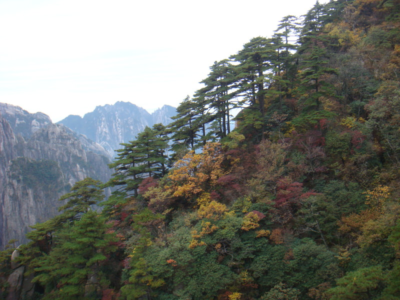 2012.10 黃山、宏村古民居、千島湖5日遊 - 第105張圖 DSC02050.JPG - 2012.10 黃山、宏村古民居、千島湖5日遊