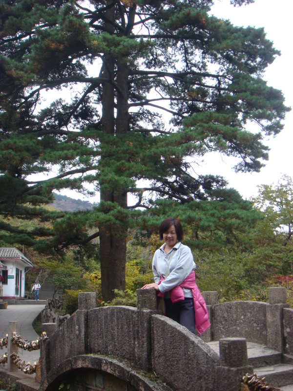 2012.10 黃山、宏村古民居、千島湖5日遊 - 第125張圖 DSC02146.JPG - 2012.10 黃山、宏村古民居、千島湖5日遊