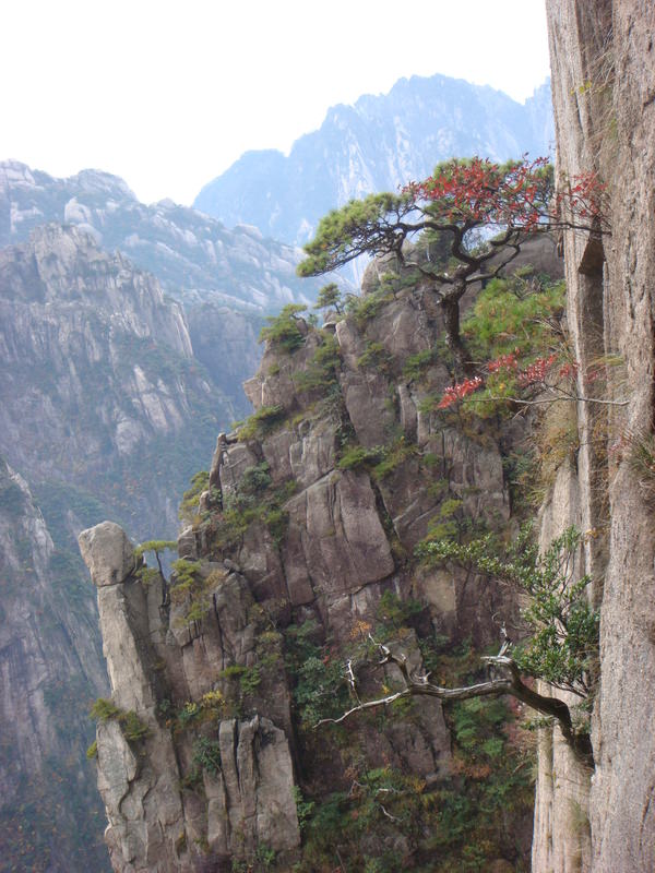 2012.10 黃山、宏村古民居、千島湖5日遊 - 第113張圖 DSC02066.JPG - 2012.10 黃山、宏村古民居、千島湖5日遊