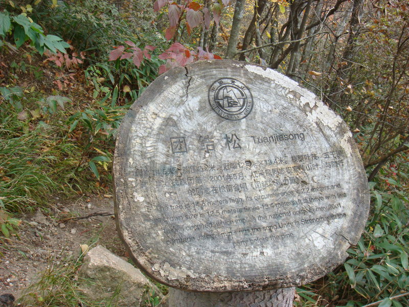 2012.10 黃山、宏村古民居、千島湖5日遊 - 第120張圖 DSC02113.JPG - 2012.10 黃山、宏村古民居、千島湖5日遊