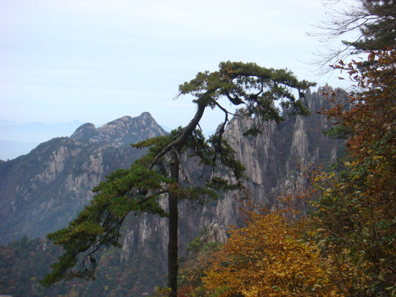 2012.10 黃山、宏村古民居、千島湖5日遊 - 第141張圖 DSC02218.JPG - 2012.10 黃山、宏村古民居、千島湖5日遊