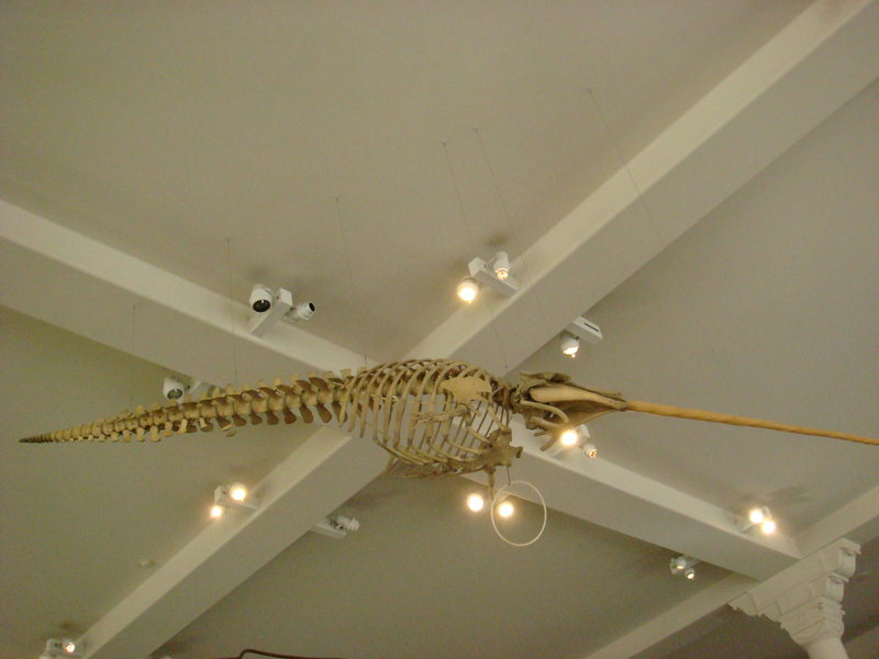 2011.12 紐約時代廣場跨年之旅10日 - 第39張圖 DSC09434.JPG - 2011.12紐約時代廣場跨年之旅10日