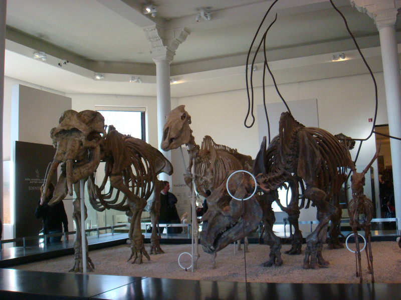 2011.12 紐約時代廣場跨年之旅10日 - 第38張圖 DSC09432.JPG - 2011.12紐約時代廣場跨年之旅10日