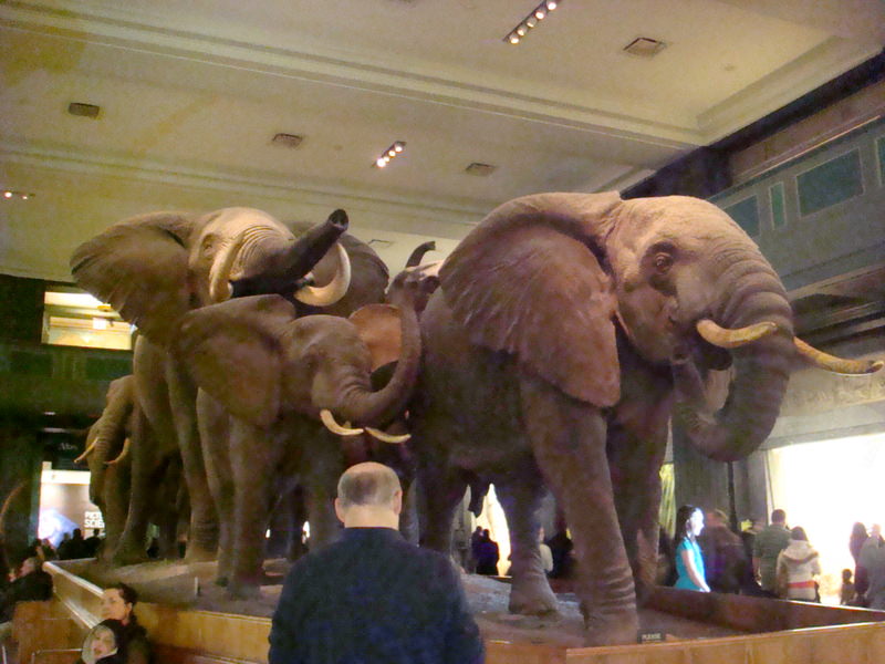 2011.12 紐約時代廣場跨年之旅10日 - 第28張圖 DSC09393.JPG - 2011.12紐約時代廣場跨年之旅10日