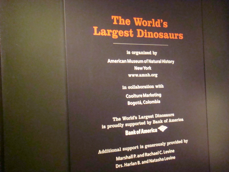 2011.12 紐約時代廣場跨年之旅10日 - 第33張圖 DSC09414.JPG - 2011.12紐約時代廣場跨年之旅10日