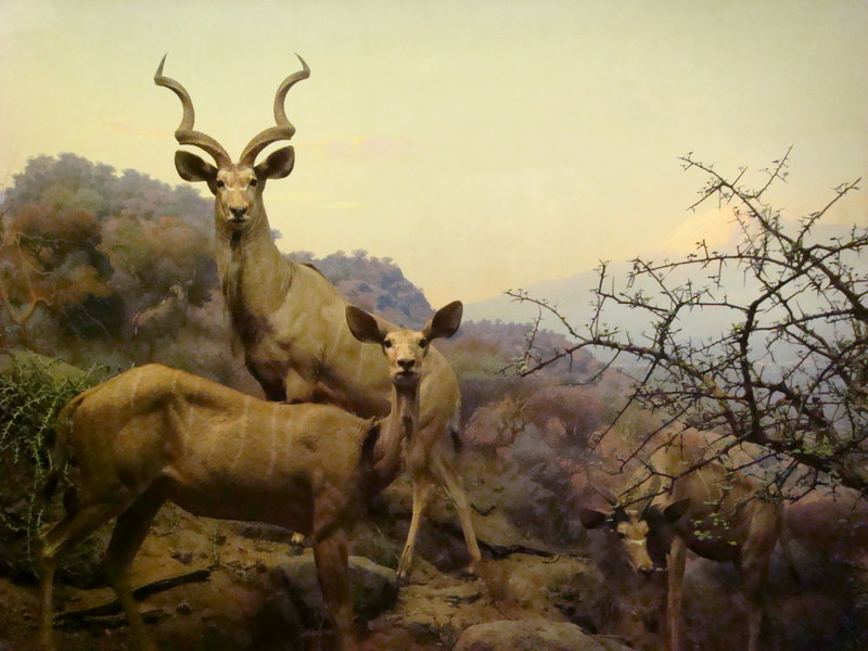 2011.12 紐約時代廣場跨年之旅10日 - 第30張圖 DSC09396.JPG - 2011.12紐約時代廣場跨年之旅10日