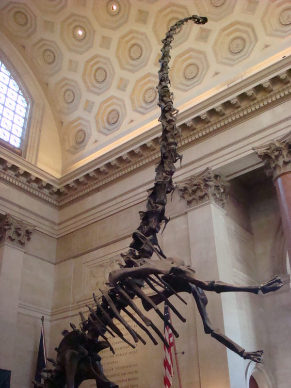 2011.12 紐約時代廣場跨年之旅10日 - 第27張圖 DSC09391.JPG - 2011.12紐約時代廣場跨年之旅10日