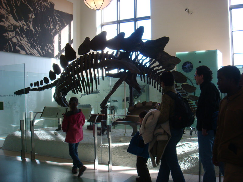 2011.12 紐約時代廣場跨年之旅10日 - 第34張圖 DSC09418.JPG - 2011.12紐約時代廣場跨年之旅10日