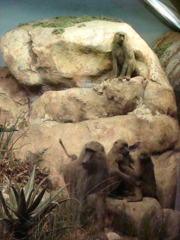 2011.12 紐約時代廣場跨年之旅10日 - 第31張圖 DSC09407.JPG - 2011.12紐約時代廣場跨年之旅10日