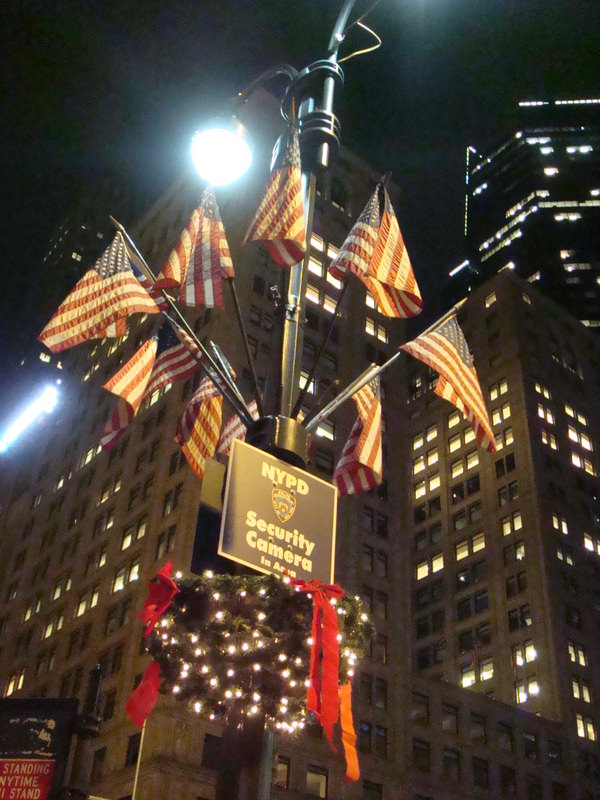 2011.12 紐約時代廣場跨年之旅10日 - 第75張圖 DSC09538.JPG - 2011.12紐約時代廣場跨年之旅10日