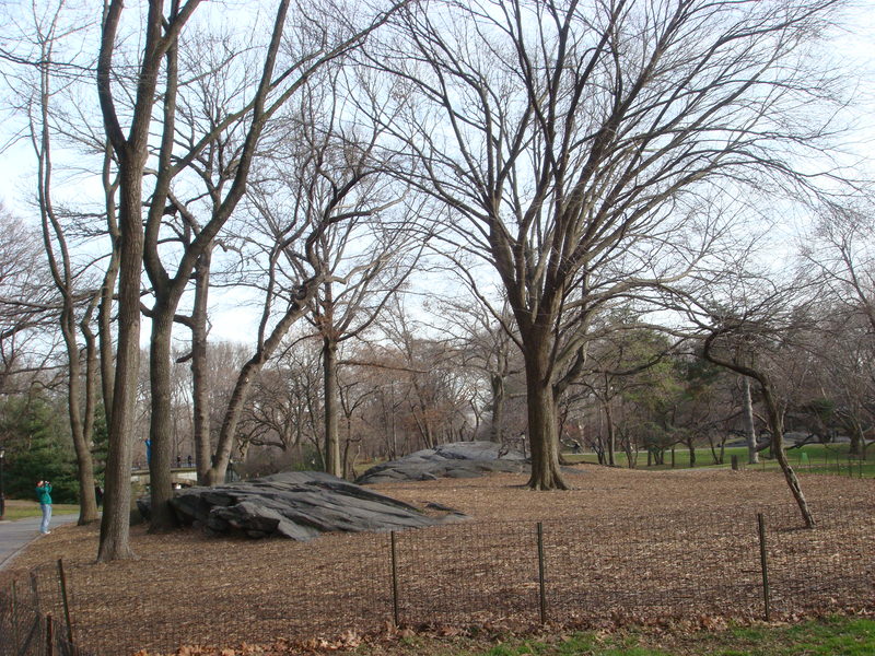 2011.12 紐約時代廣場跨年之旅10日 - 第45張圖 DSC09447.JPG - 2011.12紐約時代廣場跨年之旅10日