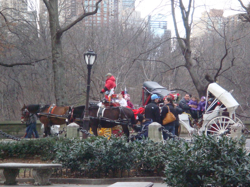 2011.12 紐約時代廣場跨年之旅10日 - 第189張圖 DSC00006.JPG - 2011.12紐約時代廣場跨年之旅10日