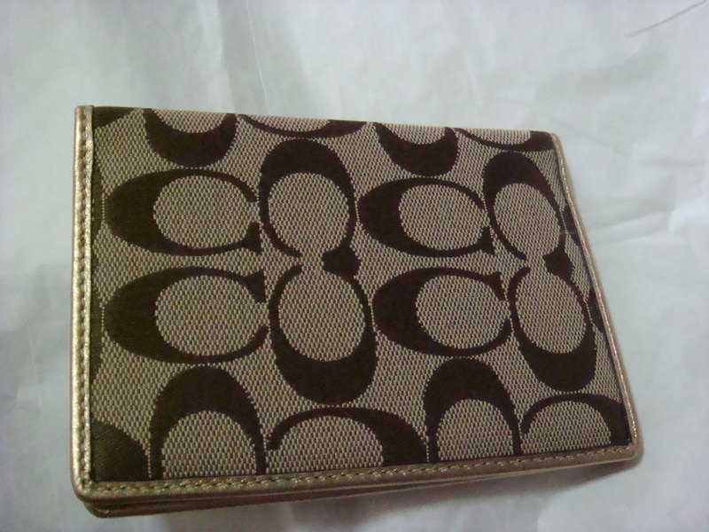 2011.12 紐約時代廣場跨年之旅10日 - 第241張圖 DSC00165.JPG - 2011.12紐約時代廣場跨年之旅10日