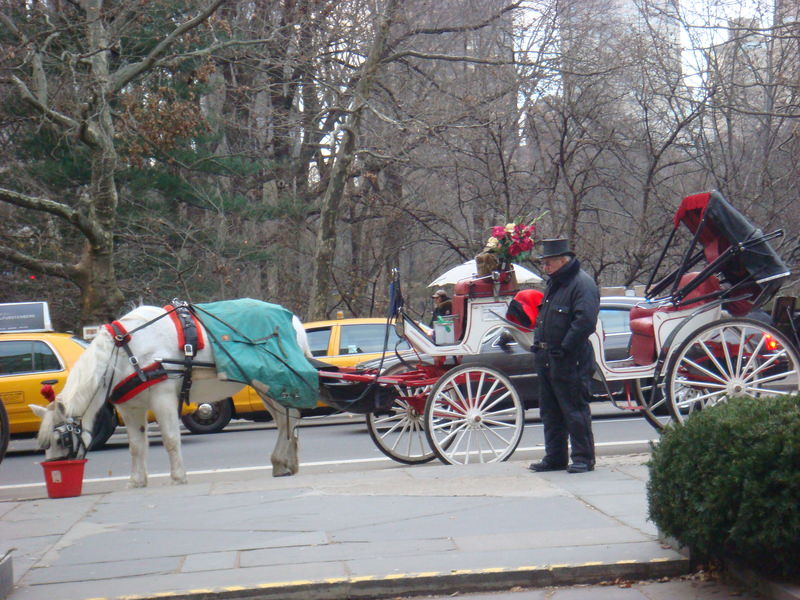 2011.12 紐約時代廣場跨年之旅10日 - 第191張圖 DSC00010.JPG - 2011.12紐約時代廣場跨年之旅10日