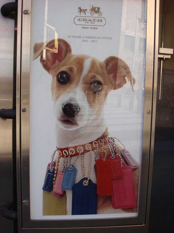 2011.12 紐約時代廣場跨年之旅10日 - 第173張圖 DSC09923.JPG - 2011.12紐約時代廣場跨年之旅10日