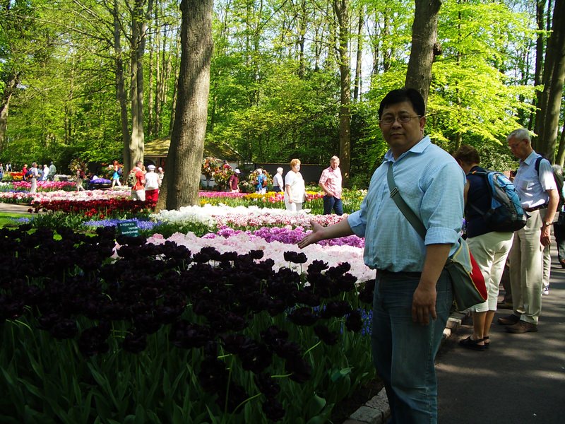 2007.4 春遊歐洲–荷德比法10日遊(上) - 第9張圖 IMGP0035.JPG - 2007.4 荷德比法10日遊