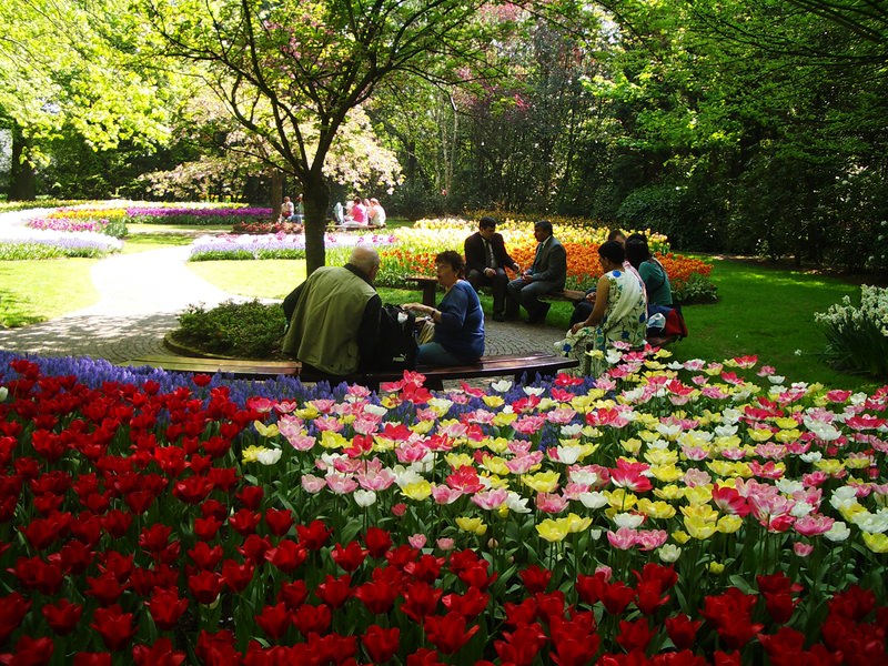 2007.4 春遊歐洲–荷德比法10日遊(上) - 第7張圖 IMGP0052.JPG - 2007.4 荷德比法10日遊