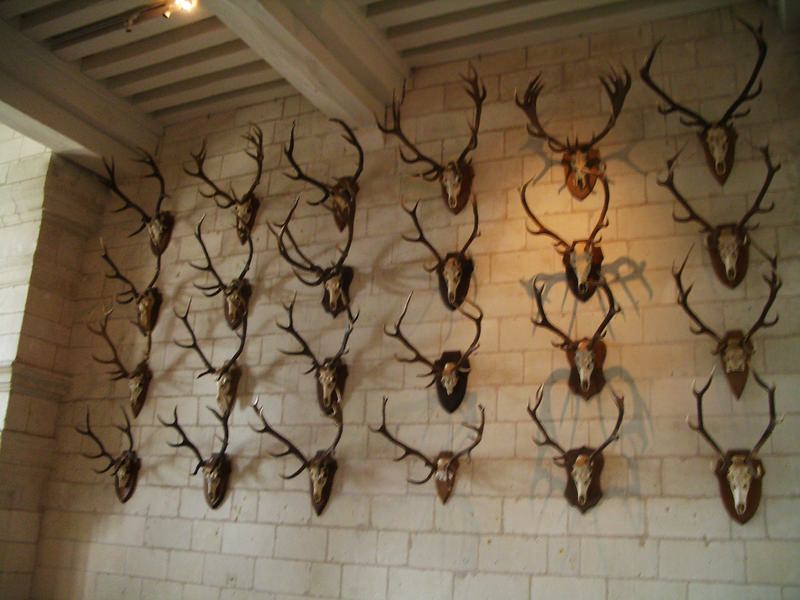 2007.4 春遊歐洲–荷德比法10日遊(下) - 第94張圖 IMGP0119.JPG - 2007.4 荷德比法10日遊