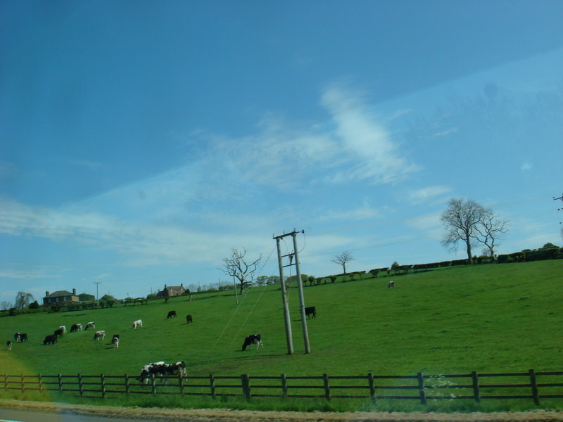 2009.5英國愛丁堡、湖區彼得兔、史前巨石群九日遊(下) - 第4張圖 DSC02912.JPG - 2009.5 英國9日遊