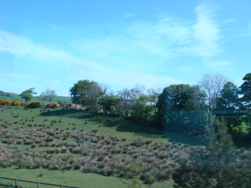 2009.5英國愛丁堡、湖區彼得兔、史前巨石群九日遊(下) - 第3張圖 DSC02911.JPG - 2009.5 英國9日遊