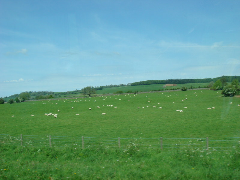 2009.5英國愛丁堡、湖區彼得兔、史前巨石群九日遊(下) - 第5張圖 DSC02914.JPG - 2009.5 英國9日遊