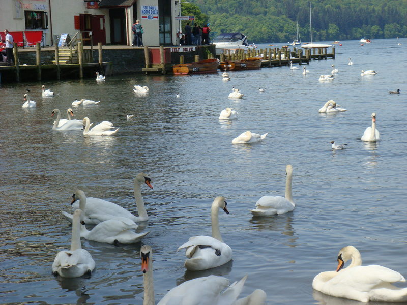 2009.5英國愛丁堡、湖區彼得兔、史前巨石群九日遊(下) - 第17張圖 DSC02949.JPG - 2009.5 英國9日遊