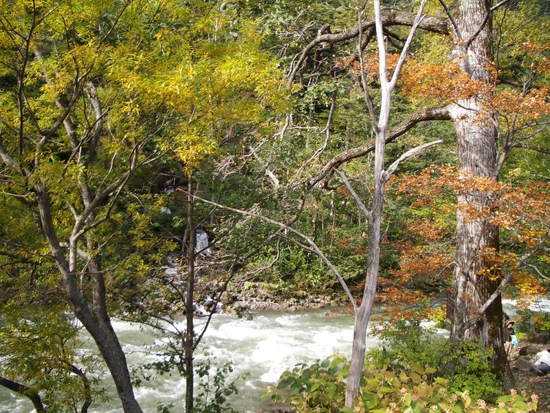 2006.9 北海道~秋季限定~珊瑚草、美瑛、小樽5日遊 - 第17張圖 IMGP0699.JPG - 2006.9 北海道5日遊