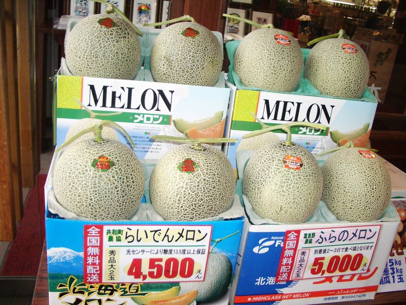 2006.9 北海道~秋季限定~珊瑚草、美瑛、小樽5日遊 - 第144張圖 IMGP1025.JPG - 2006.9 北海道5日遊