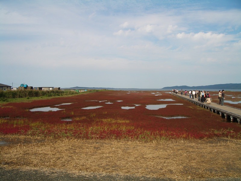 2006.9 北海道~秋季限定~珊瑚草、美瑛、小樽5日遊 - 第33張圖 IMGP0734.JPG - 2006.9 北海道5日遊