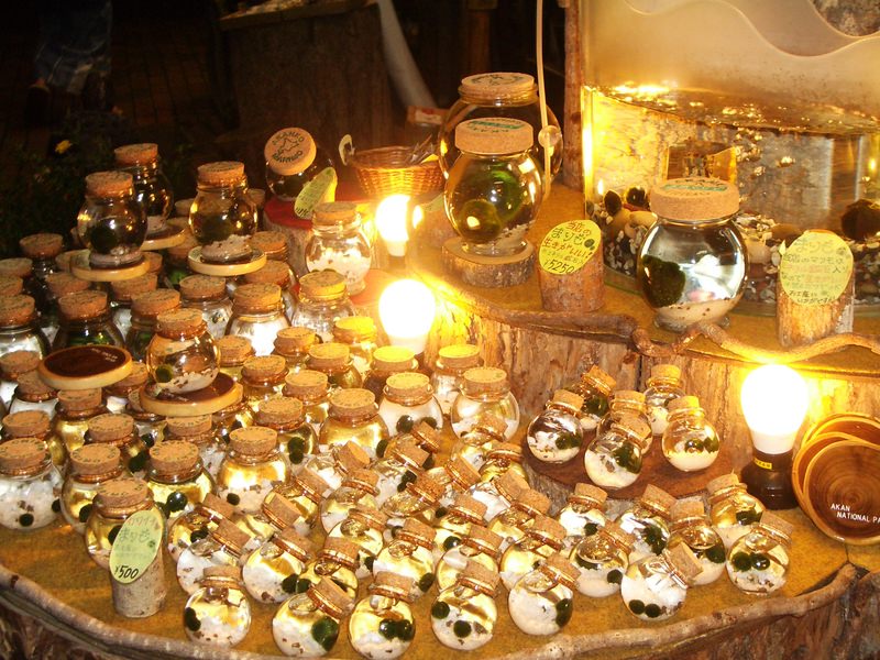 2006.9 北海道~秋季限定~珊瑚草、美瑛、小樽5日遊 - 第66張圖 IMGP0827.JPG - 2006.9 北海道5日遊