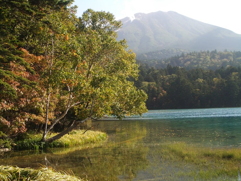 2006.9 北海道~秋季限定~珊瑚草、美瑛、小樽5日遊 - 第76張圖 IMGP0856.JPG - 2006.9 北海道5日遊