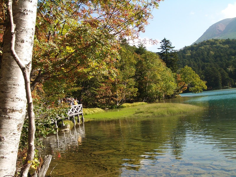 2006.9 北海道~秋季限定~珊瑚草、美瑛、小樽5日遊 - 第80張圖 IMGP0877.JPG - 2006.9 北海道5日遊