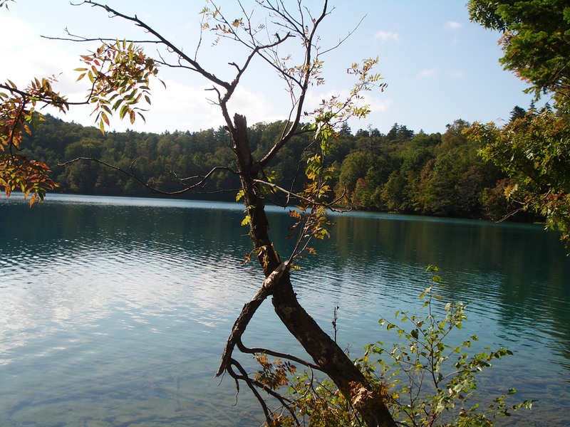 2006.9 北海道~秋季限定~珊瑚草、美瑛、小樽5日遊 - 第81張圖 IMGP0879.JPG - 2006.9 北海道5日遊