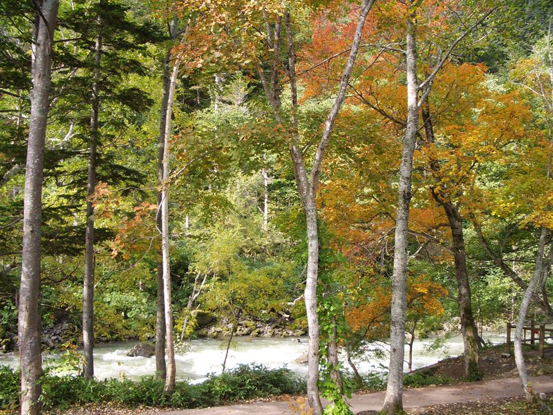 2006.9 北海道~秋季限定~珊瑚草、美瑛、小樽5日遊 - 第14張圖 IMGP0695.JPG - 2006.9 北海道5日遊