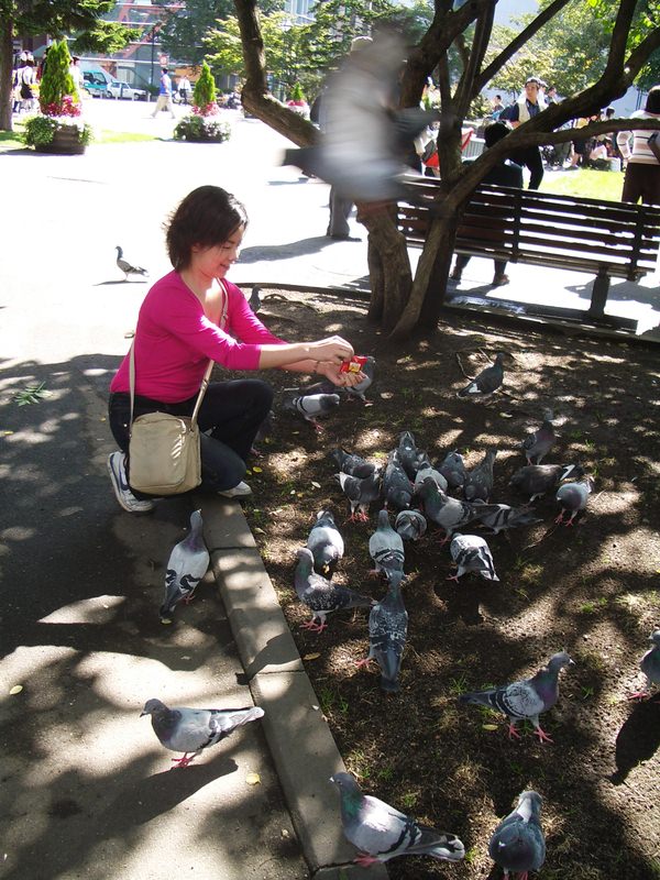 2006.9 北海道~秋季限定~珊瑚草、美瑛、小樽5日遊 - 第196張圖 IMGP1153.JPG - 2006.9 北海道5日遊