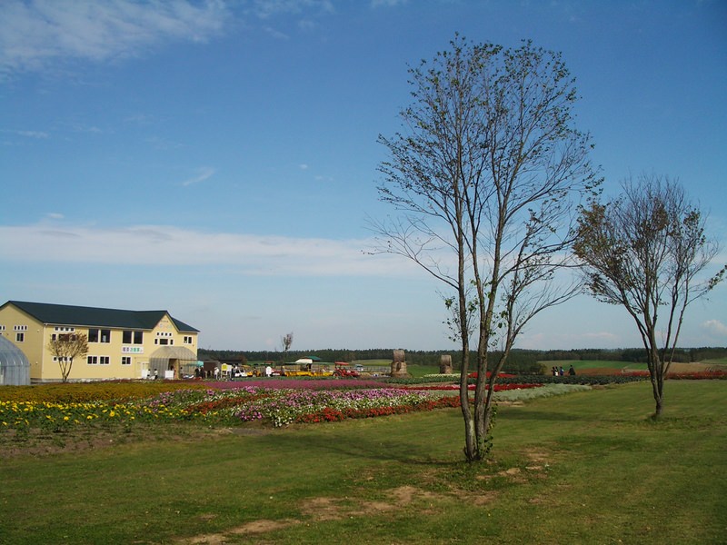 2006.9 北海道~秋季限定~珊瑚草、美瑛、小樽5日遊 - 第128張圖 IMGP0989.JPG - 2006.9 北海道5日遊