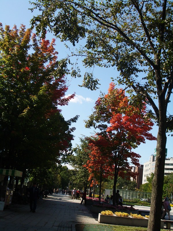 2006.9 北海道~秋季限定~珊瑚草、美瑛、小樽5日遊 - 第197張圖 IMGP1155.JPG - 2006.9 北海道5日遊