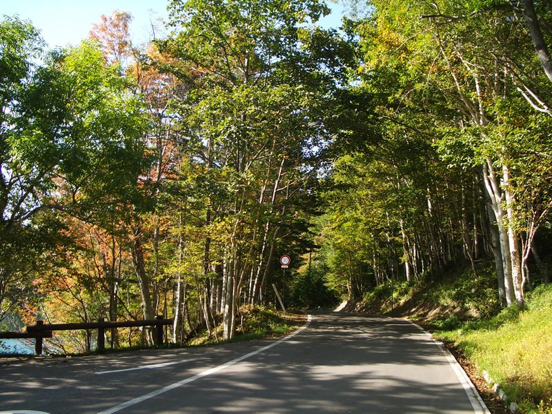 2006.9 北海道~秋季限定~珊瑚草、美瑛、小樽5日遊 - 第84張圖 IMGP0874.JPG - 2006.9 北海道5日遊