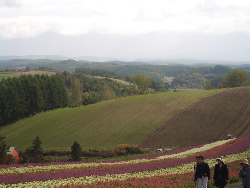 2006.9 北海道~秋季限定~珊瑚草、美瑛、小樽5日遊 - 第124張圖 IMGP0980.JPG - 2006.9 北海道5日遊