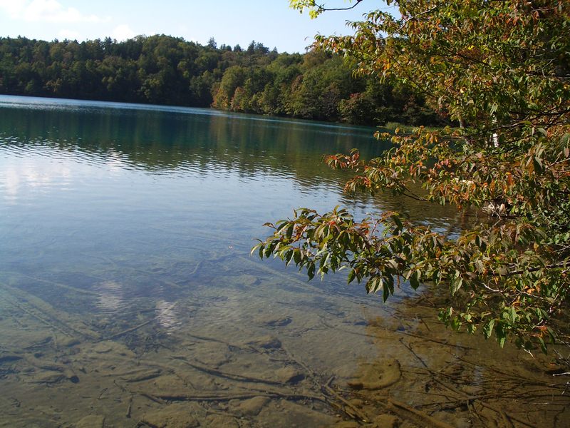 2006.9 北海道~秋季限定~珊瑚草、美瑛、小樽5日遊 - 第77張圖 IMGP0862.JPG - 2006.9 北海道5日遊