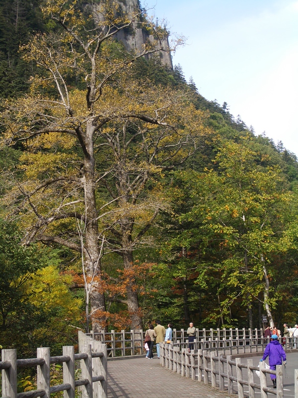 2006.9 北海道~秋季限定~珊瑚草、美瑛、小樽5日遊 - 第16張圖 IMGP0698.JPG - 2006.9 北海道5日遊