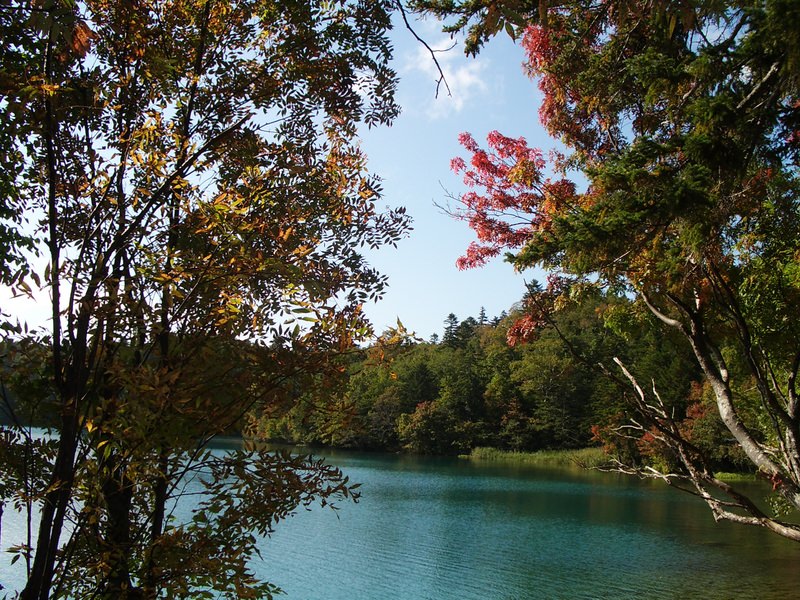 2006.9 北海道~秋季限定~珊瑚草、美瑛、小樽5日遊 - 第78張圖 IMGP0866.JPG - 2006.9 北海道5日遊