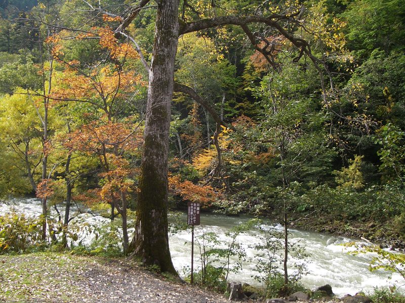 2006.9 北海道~秋季限定~珊瑚草、美瑛、小樽5日遊 - 第15張圖 IMGP0696.JPG - 2006.9 北海道5日遊