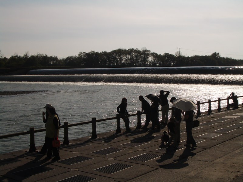 2006.9 北海道~秋季限定~珊瑚草、美瑛、小樽5日遊 - 第90張圖 IMGP0888.JPG - 2006.9 北海道5日遊