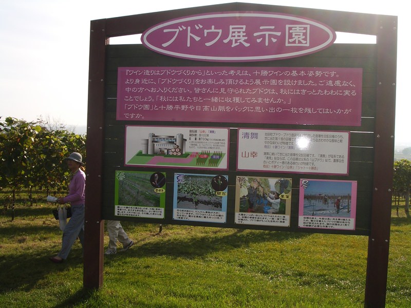 2006.9 北海道~秋季限定~珊瑚草、美瑛、小樽5日遊 - 第96張圖 IMGP0903.JPG - 2006.9 北海道5日遊