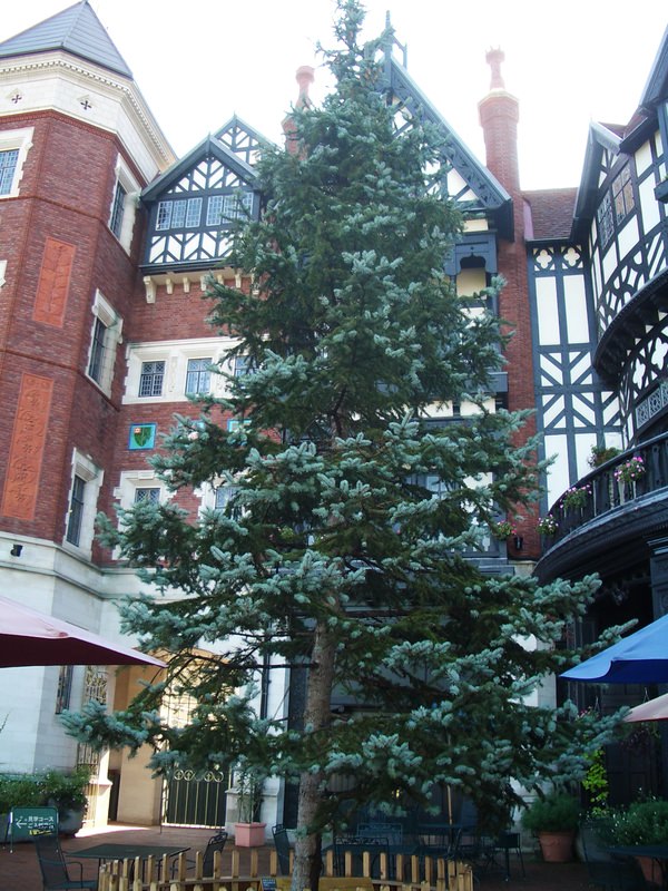 2006.9 北海道~秋季限定~珊瑚草、美瑛、小樽5日遊 - 第175張圖 IMGP1101.JPG - 2006.9 北海道5日遊